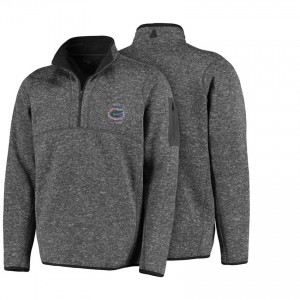 Men's Florida Gators Half-Zip Pullover Hoodie Gray 