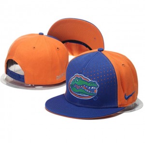 Royal/Orange Top Of The World True Florida Gators Snapback Adjustable Hat